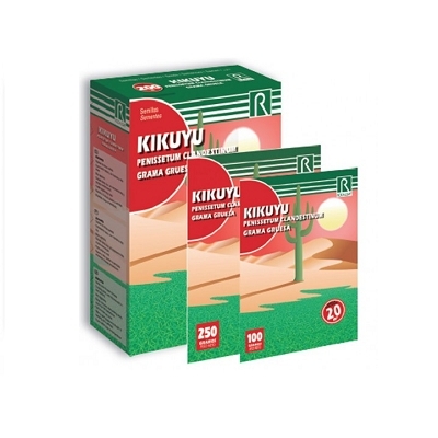 KIKUYO, PENISETUM CLAND.100GR