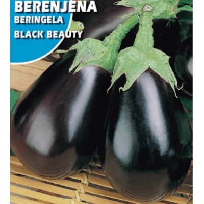 BERENJENA BELLEZA 