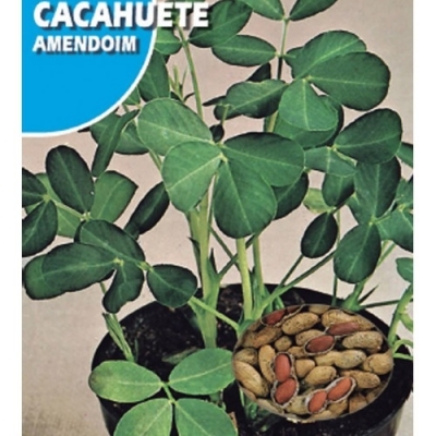 CACAHUETE 