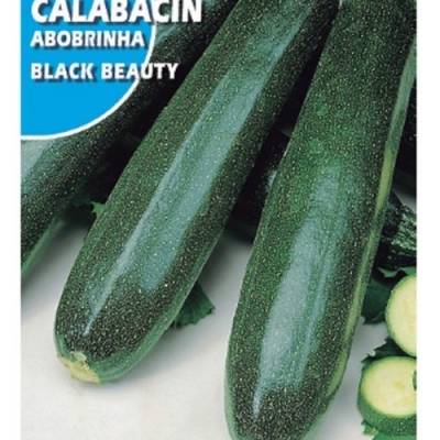 CALABACIN BLACK BEAUTY 