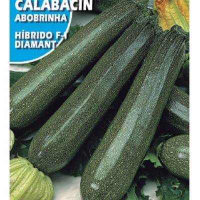 CALABACIN DIAMANT F1 