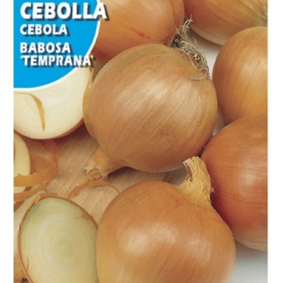 CEBOLLA BABOSA 