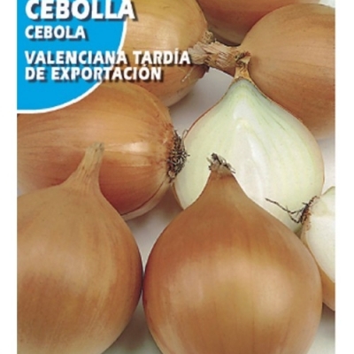 CEBOLLA VALENCIANA GRAN 