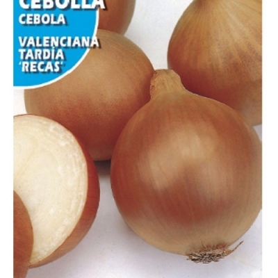 CEBOLLA VALENCIANA RECA 