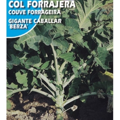 COL FORRAJERA CABALLAR 