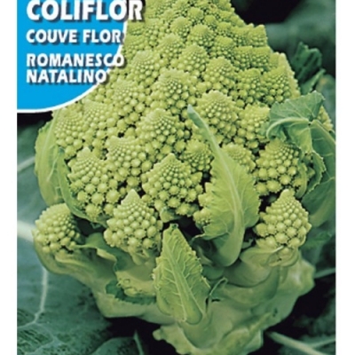 BROCOLI ROMANESCO 