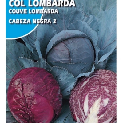 COL LOMBARDA CABEZA NEG 