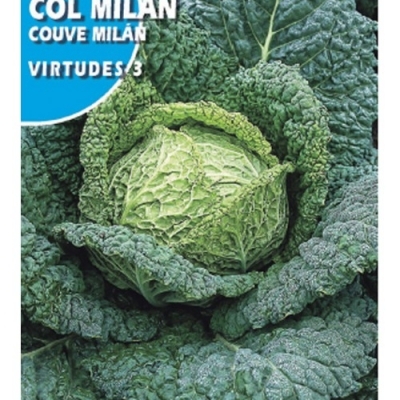 COL MILAN VIRTUDES 