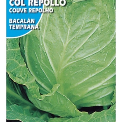 COL REPOLLO BACALAN 