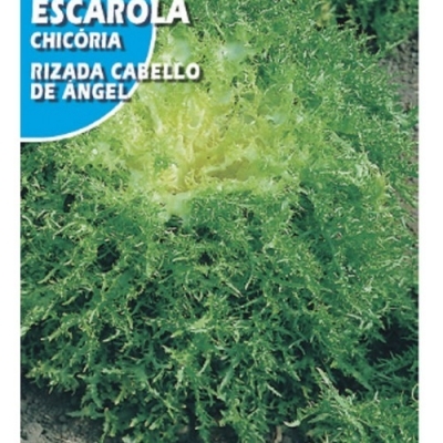 ESCAROLA CABELLO DE ANG 