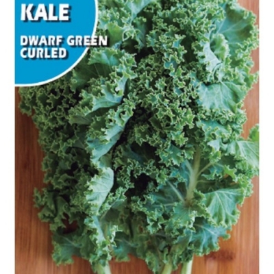 KALE DWARF GREEN 