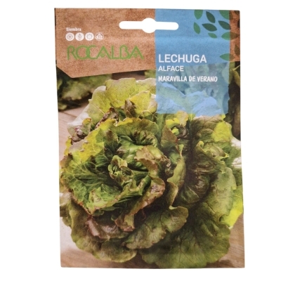 LECHUGA MARAVILLA VERAN 